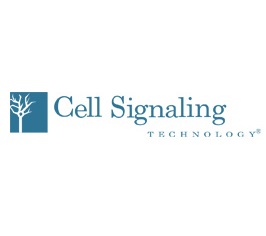 cell+signaling